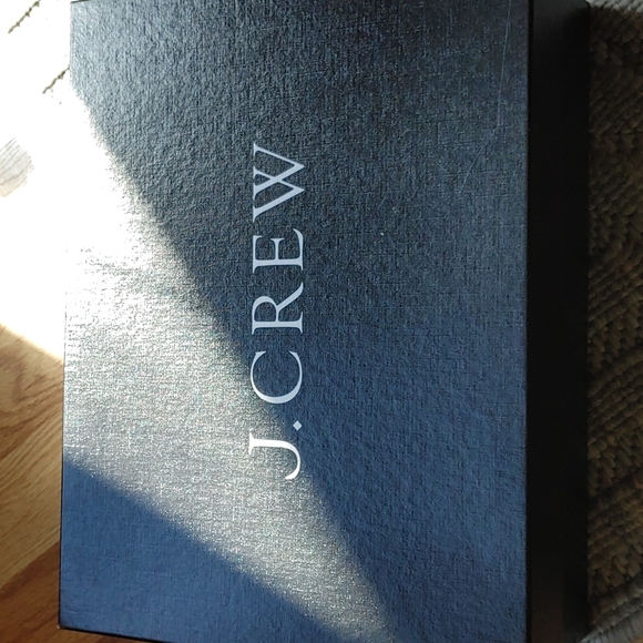 J. Crew silver metallic heels with ankle strap. In box. - Picture 8 of 8